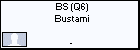 B (Q6) Bustami