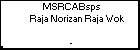 MSRCABsps Raja Norizan Raja Wok