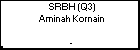 SRBH (Q3) Aminah Kornain