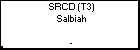 SRCD (T3) Salbiah