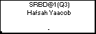 SRBD@1 (Q3) Hafsah Yaacob