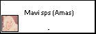  Mawi sps (Amas)