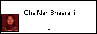  Che Nah Shaarani