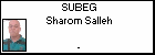 SUBEG Sharom Salleh
