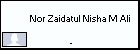  Nor Zaidatul Nisha M Ali