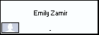  Emily Zamir