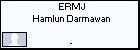ERMJ Hamlun Darmawan