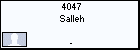 4047 Salleh
