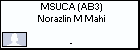 MSUCA (AB3) Norazlin M Mahi