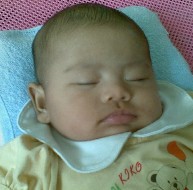 pict2271.jpg [193x190]